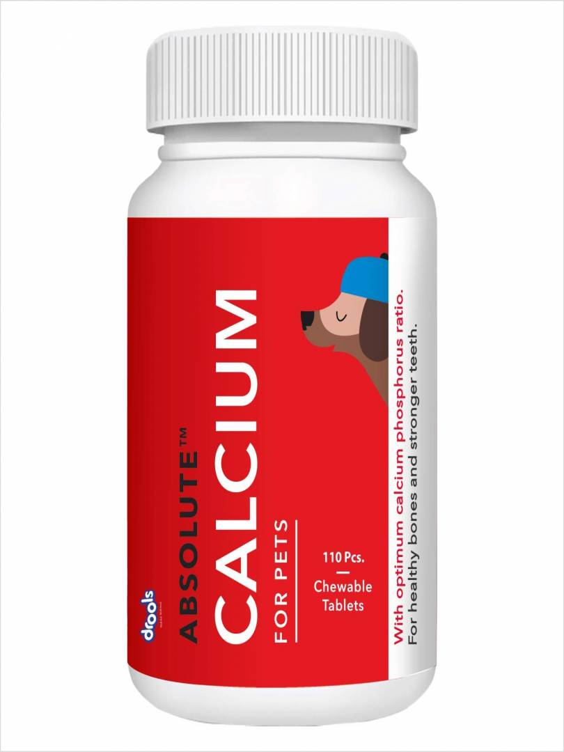 DROOLS ABSOLUTE CALCIUM 110 TABS Catalogue Image 1