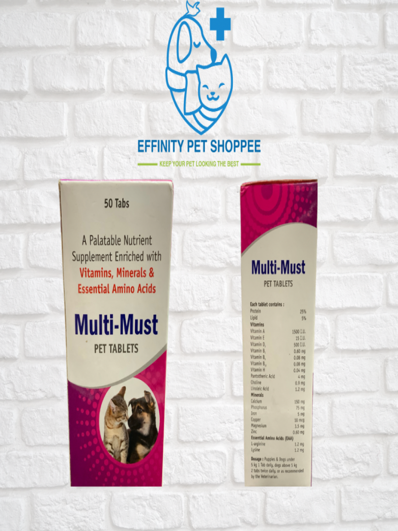 MULTI MUST TABS 50tabs Catalogue Image 1