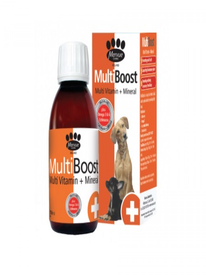 MultiBoost Syrup 150ml Catalogue Image 1