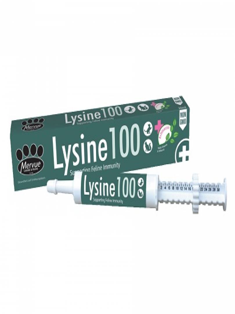 LYSINE 100 Catalogue Image 1