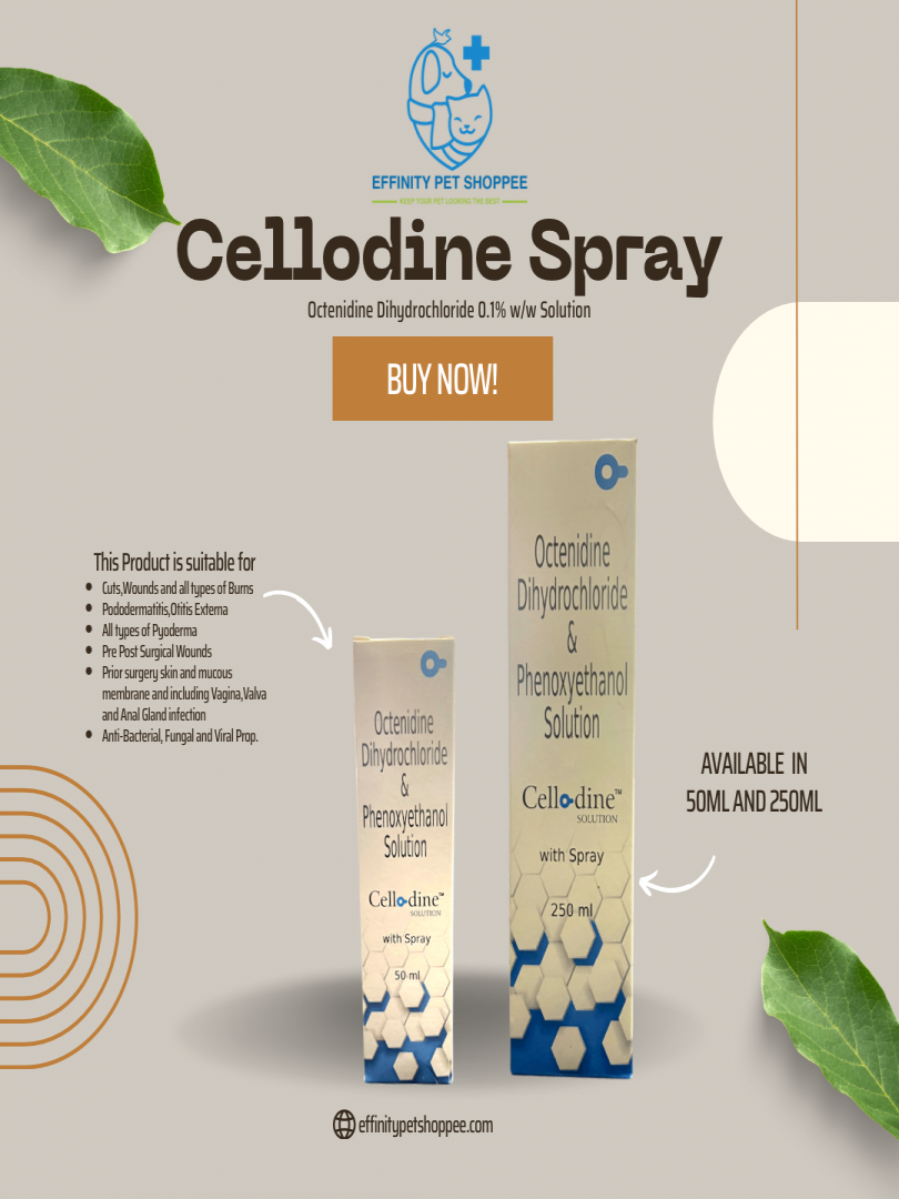 Cellodine Spray 250Ml Catalogue Image 1
