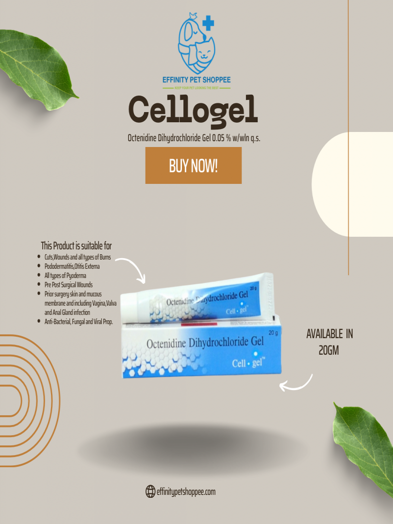 Cellogel 20gm Oint PACK OF 5 Catalogue Image 1