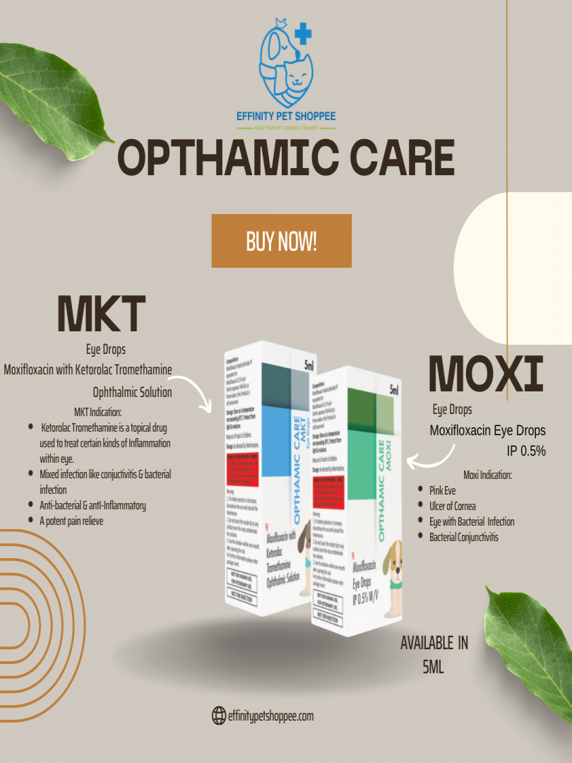 OPTHAMIC CARE MKT EYE DROPS 5ml 2pcs Catalogue Image 1