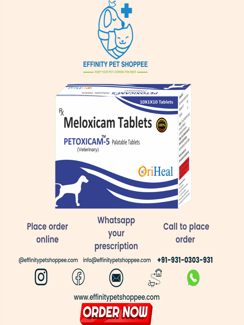 PETOXICAM TABLETS ( MELOXICAM 5MG ) WITH CHICKEN FLAVOUR Catalogue Image 1
