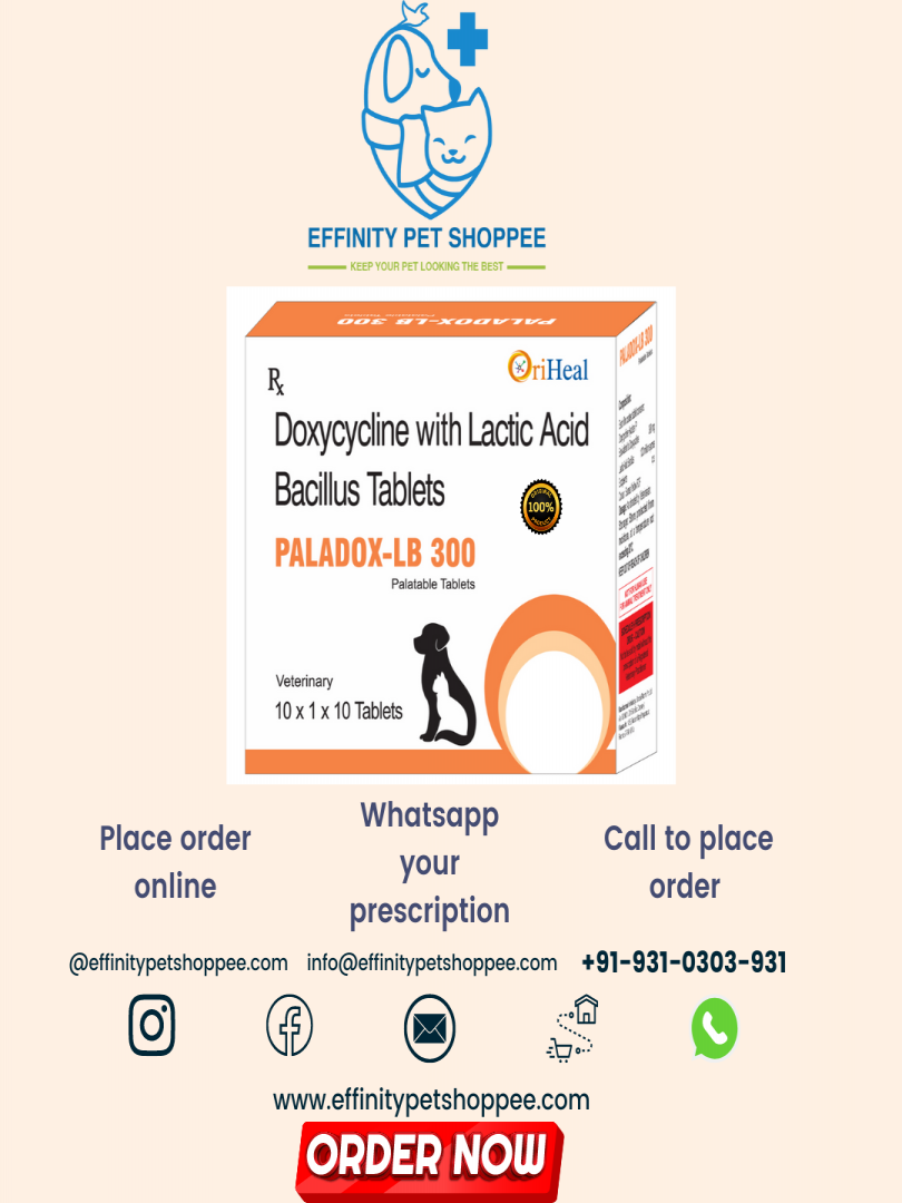 PALADOX LB 300 ( DOXYCYCLINE 300MG ) Catalogue Image 1
