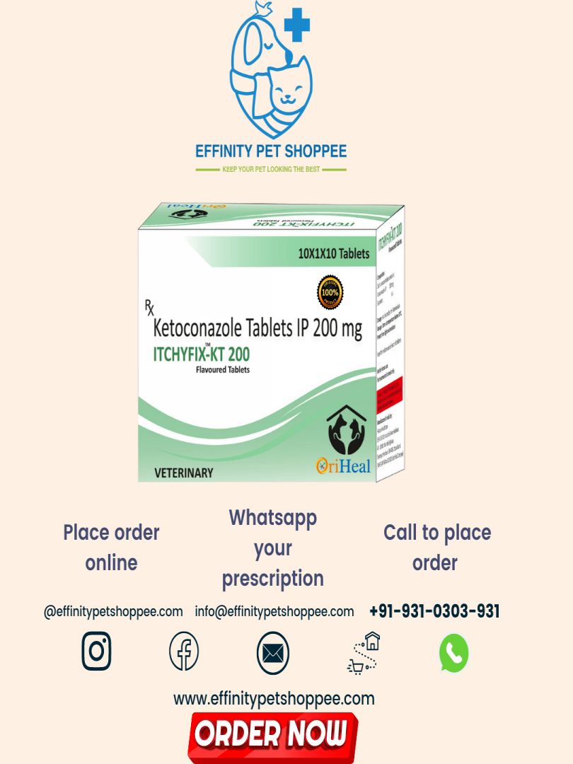 ITCHYFIX KT TABLETS ( KETOCONAZOLE 200mg ) Catalogue Image 1