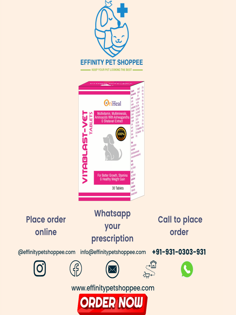 VITABLAST TABLETS Catalogue Image 1