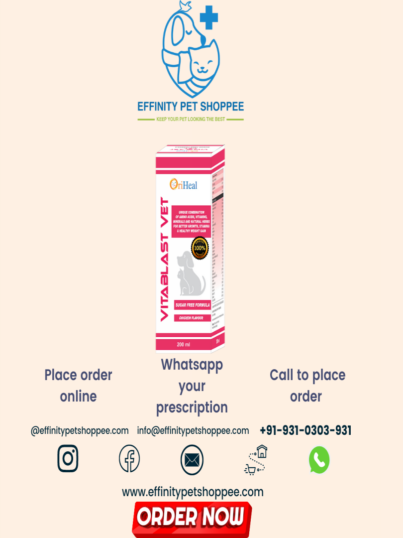 VITABLAST VET SYRUP 200ML Catalogue Image 1