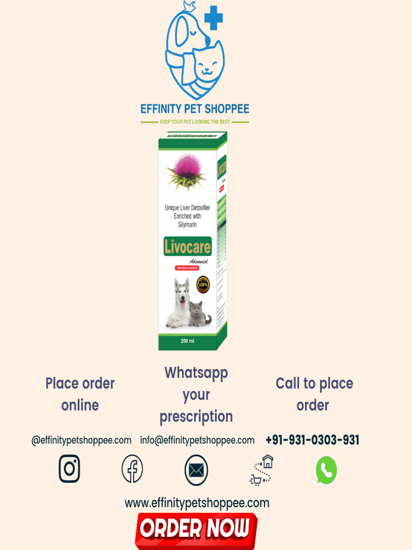 LIVO CARE ADV SYRUP 200ML Catalogue Image 1
