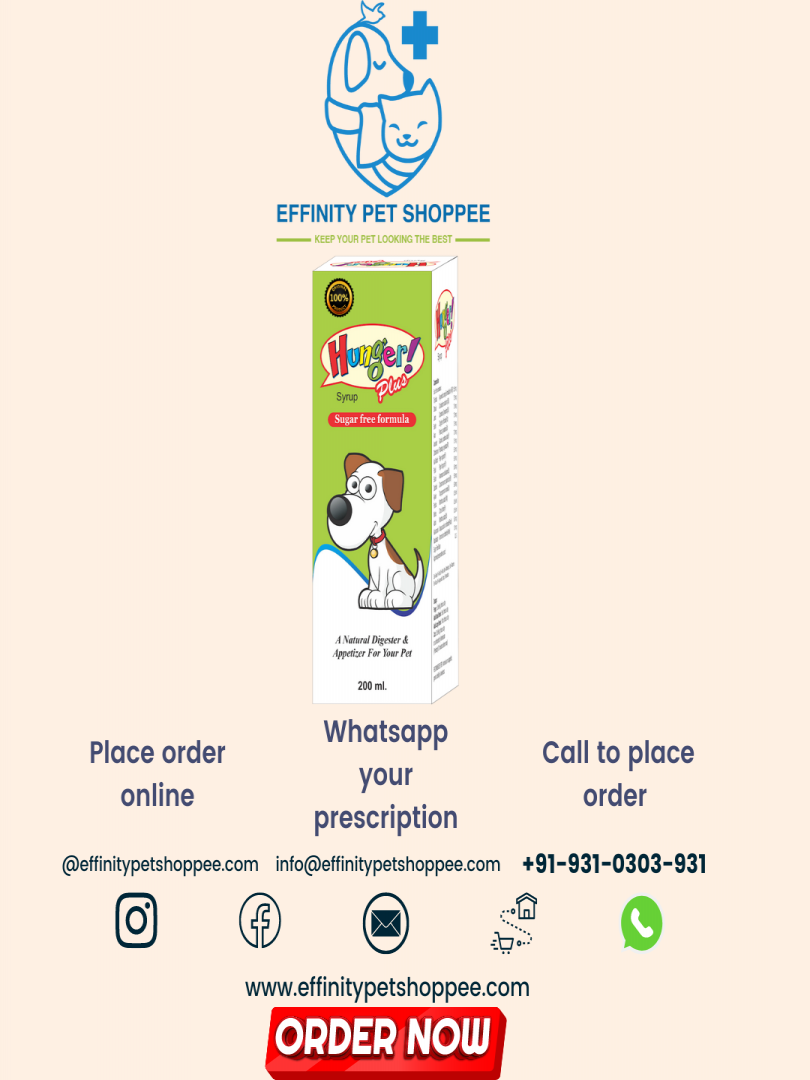 HUNGER PLUS SYRUP 200ML Catalogue Image 1