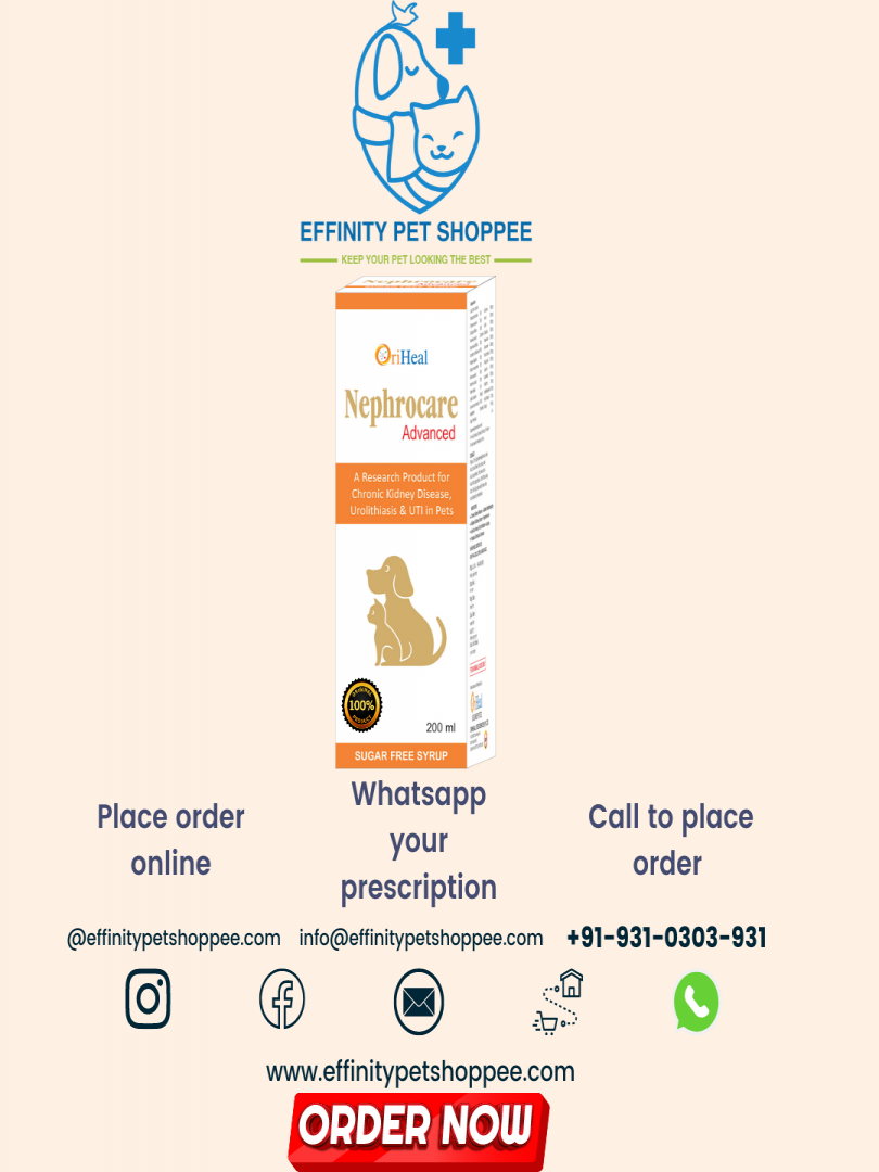 NEPHROCARE ADVANCED SYRUP 200ML Catalogue Image 1