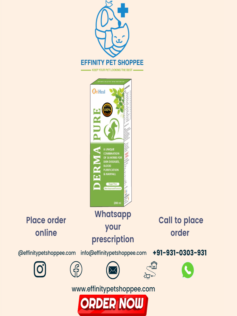 DERMAPURE SYRUP 200ML Catalogue Image 1