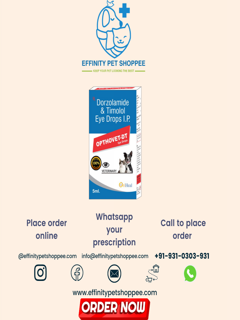 OPTHOVET DT EYE DROP ( DORZOLAMIDE HYDROCHLORIDE 2% + TIMOLOL MALEATE 0.5% ) Catalogue Image 1