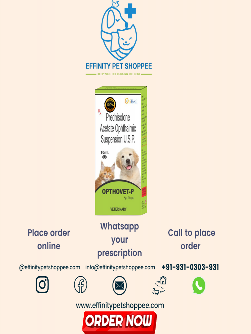 OPTHOVET P EYE DROP ( PREDNISOLONE ACETATE 1% ) PACK OF 2 Catalogue Image 1