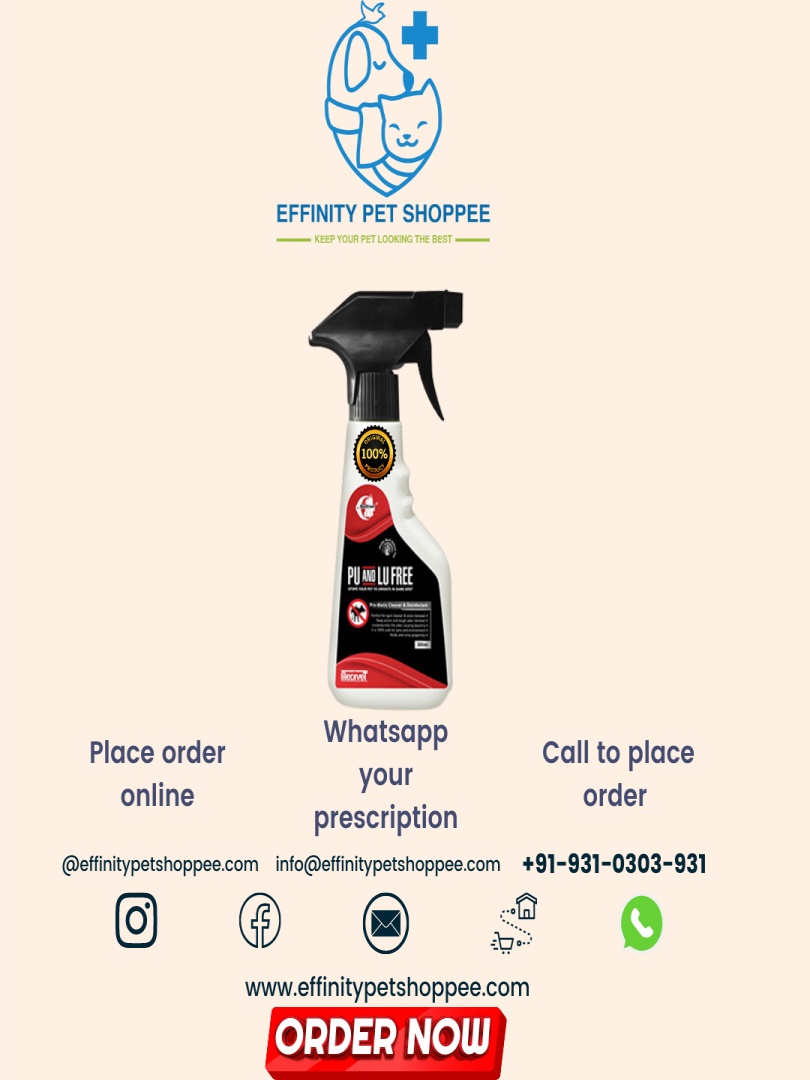 PU AND LU FREE SPRAY Catalogue Image 1