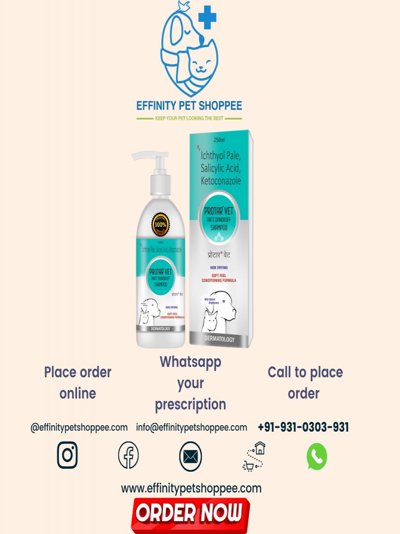 PROTAR VET SHAMPOO 250ML Catalogue Image 1
