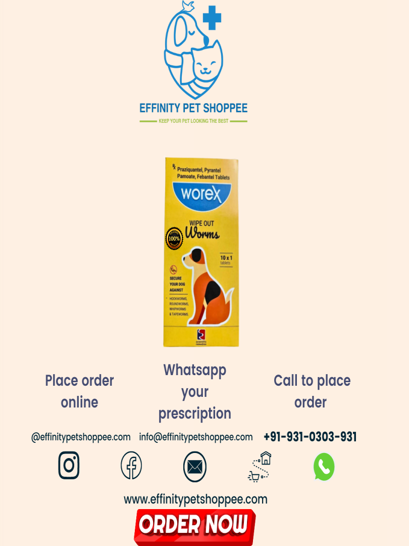 WOREX TAB 10TABS Catalogue Image 1