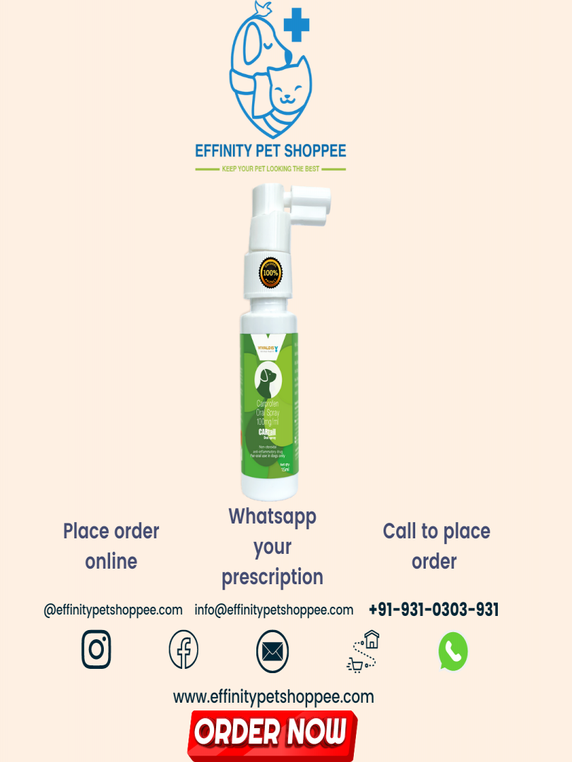 CARTAIL ORAL SPRAY ( CARPROFEN ) 15ml Catalogue Image 1