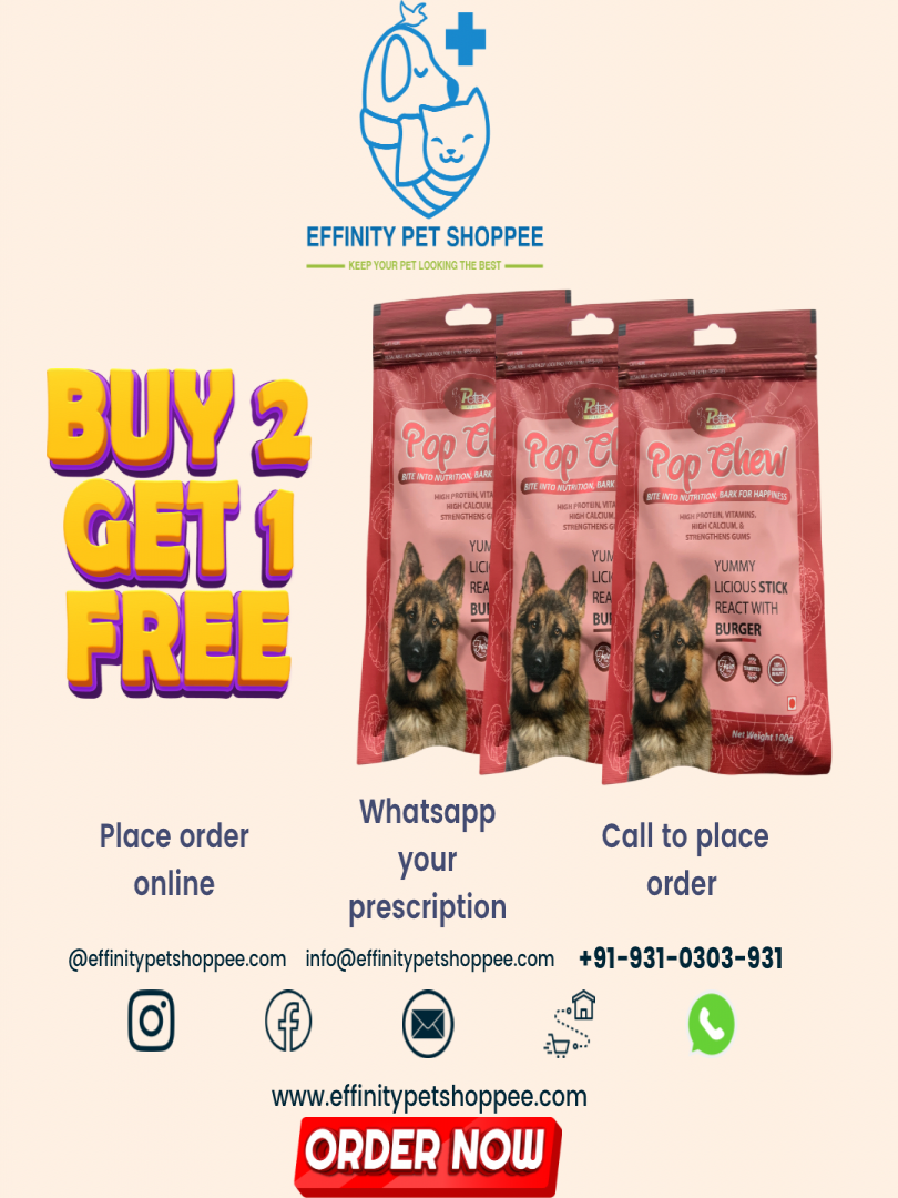POP CHEW BURGER TREAT BUY 2 GET 1 FREE Catalogue Image 1