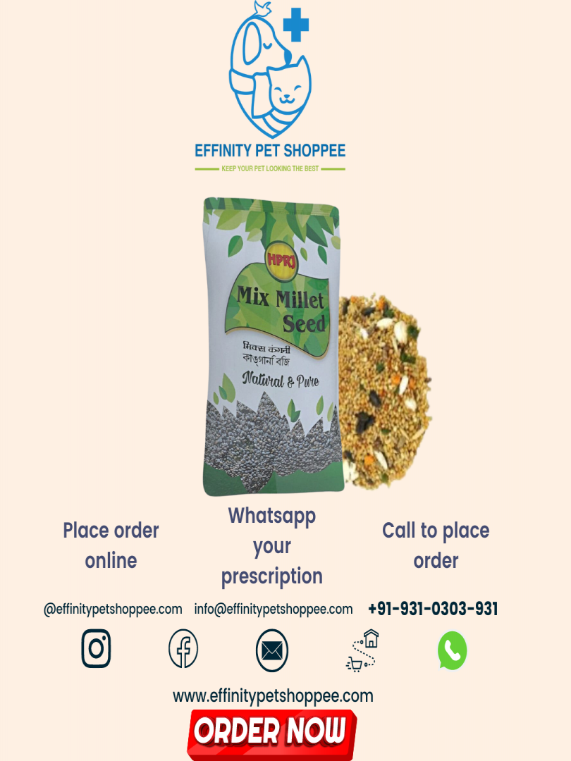 MIX MILLETS 1KG Catalogue Image 1