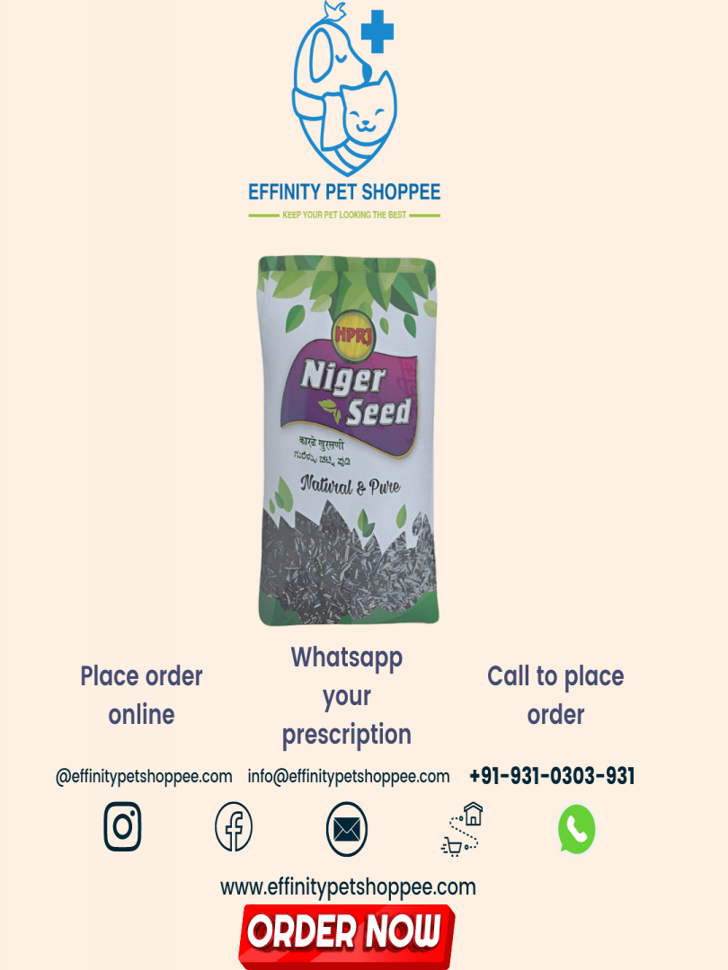NIGER SEEDS 1KG Catalogue Image 1