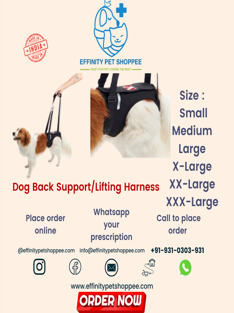 LIFTING HARNESS / BACK SUPPORT BELT MEDIUM Catalogue Image 1