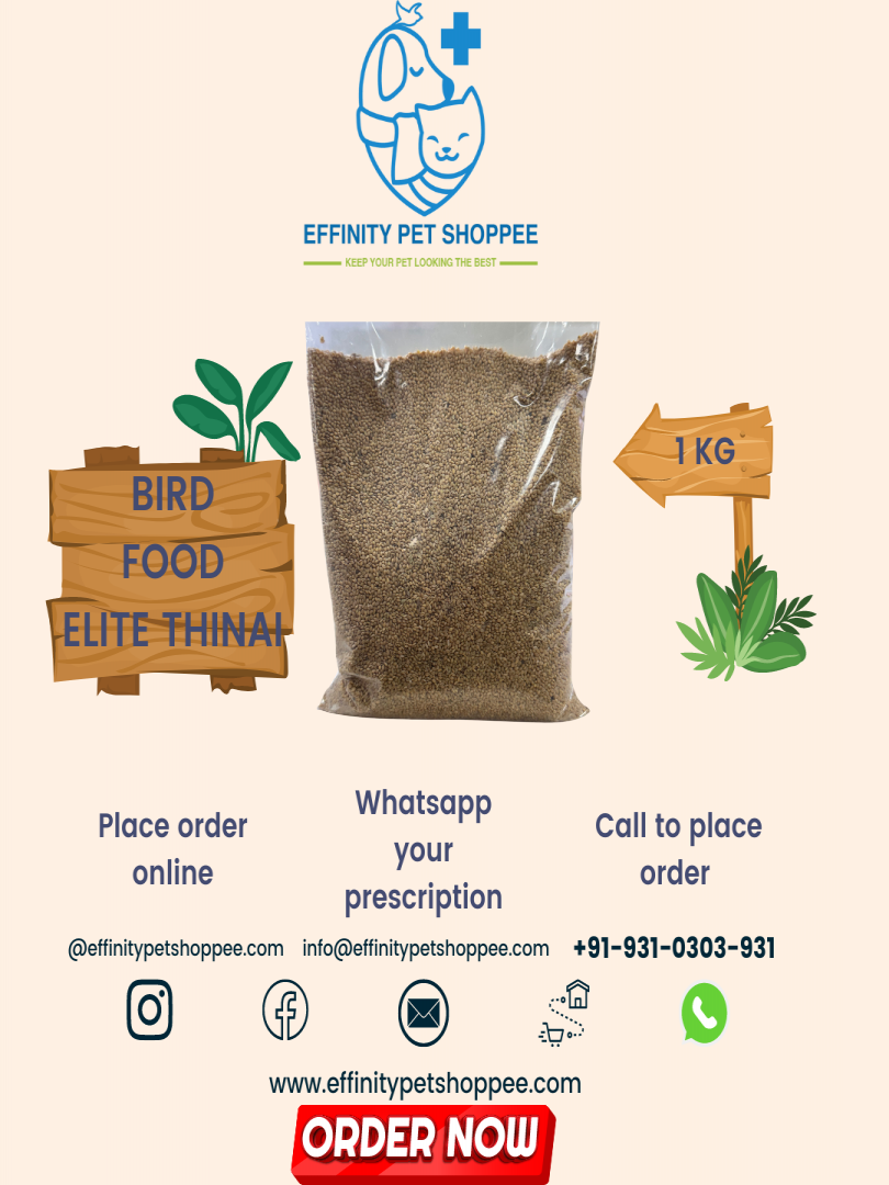 TAIYO PLUSS DISCOVERY ELITE THINAI BIRD FOOD KANGANI 1KG Catalogue Image 1