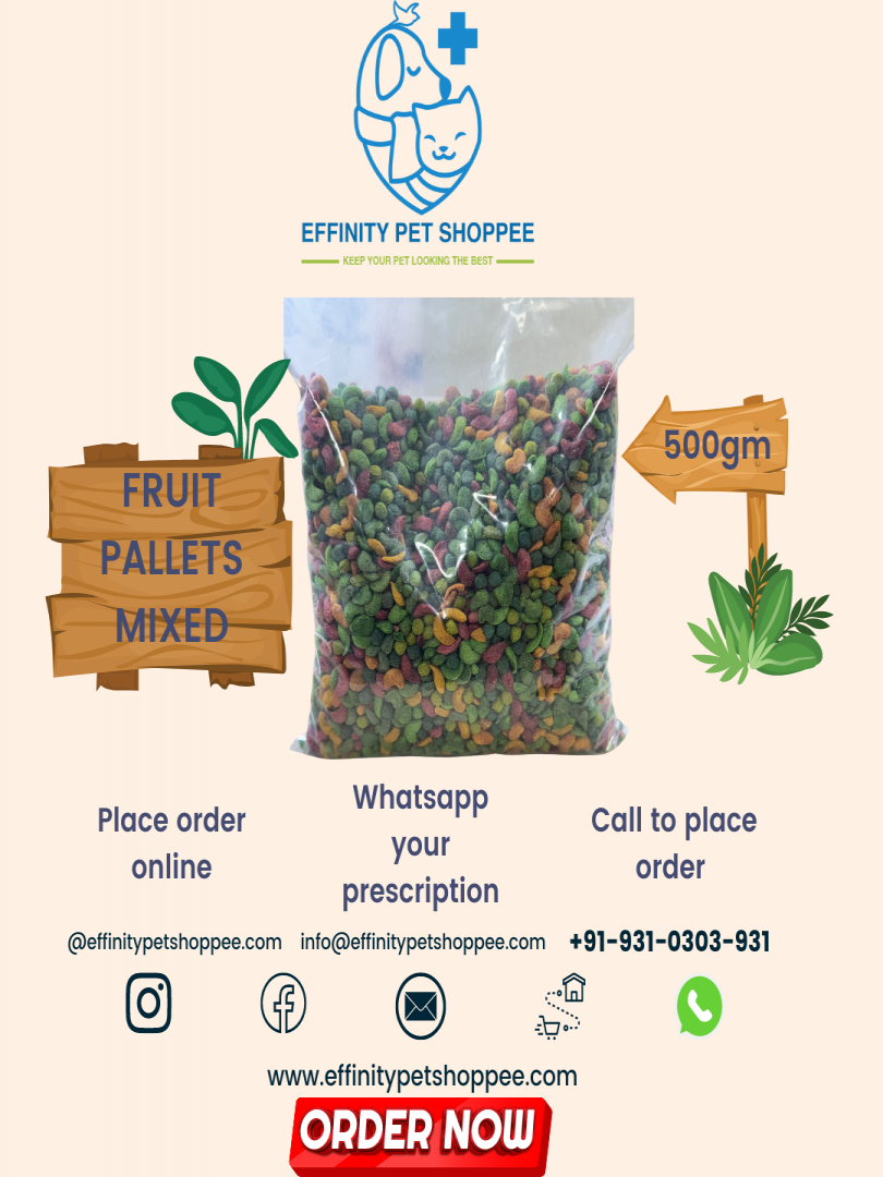 TAIYO PLUSS DISCOVERY FRUIT PALLETS MIXED BIRDS 500GM Catalogue Image 1