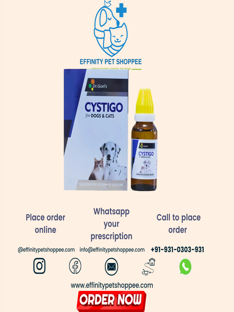 CYSTIGO 30ml Urinary Issues Catalogue Image 1