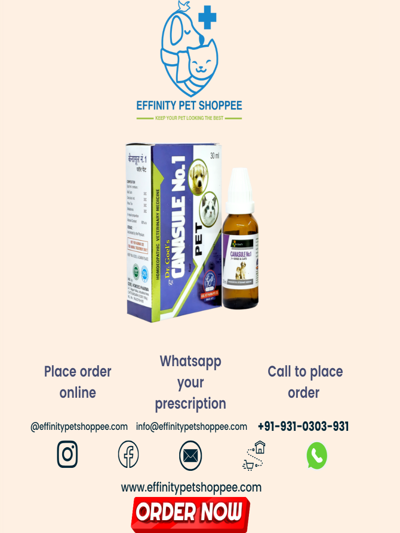 CANASULE No.1 30ml Boosting Immunity Catalogue Image 1