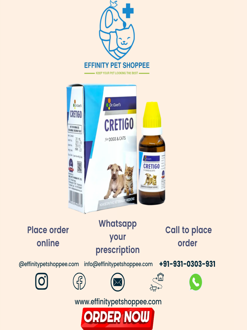 CRETIGO DROPS 30ML Kidney Impairment Catalogue Image 1