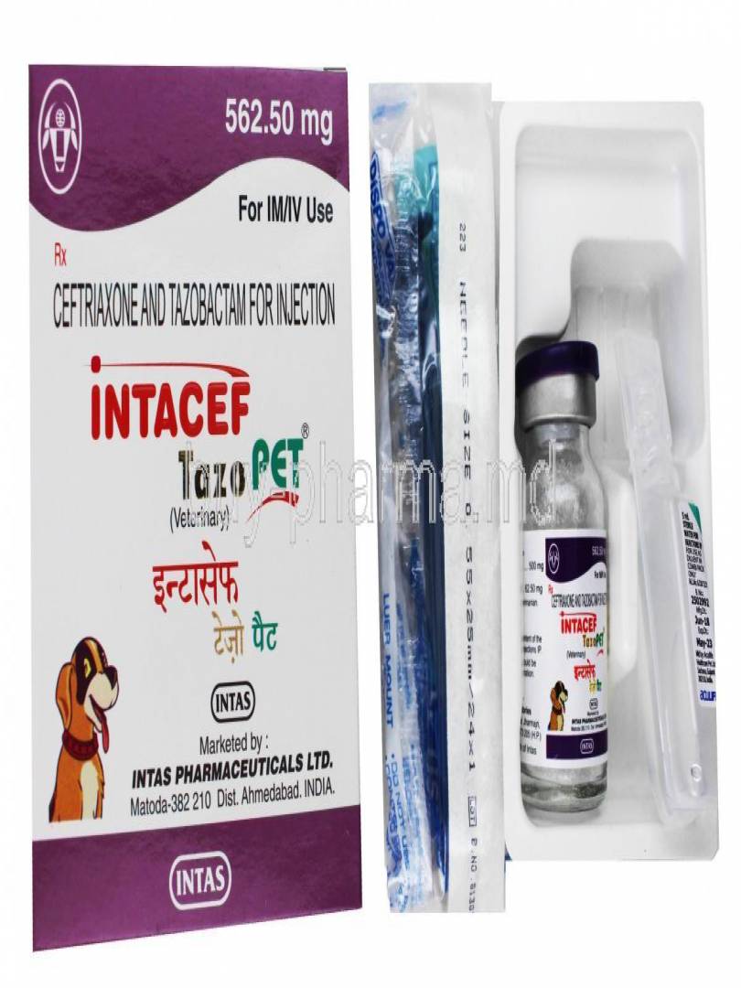 INTACEF TAZO 562.50MG Catalogue Image 1