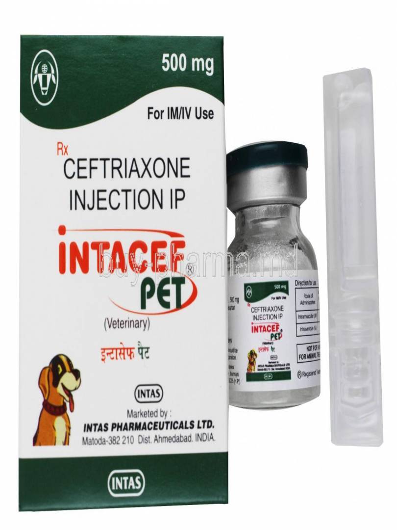 INTACEF 500MG Catalogue Image 1