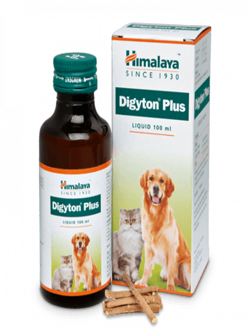 DIGYTON PLUS 100ML Catalogue Image 1