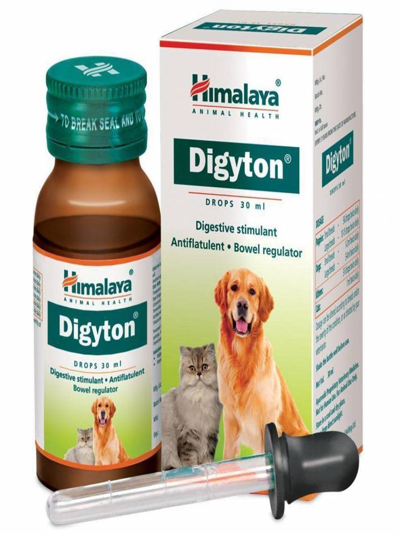 DIGYTON DROPS 30ML Catalogue Image 1