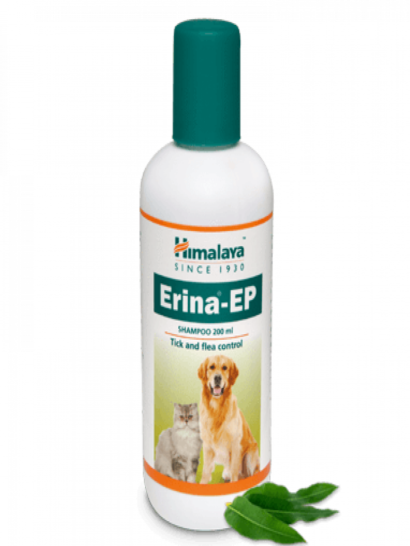 Erina-EP Shampoo 200ML Catalogue Image 1