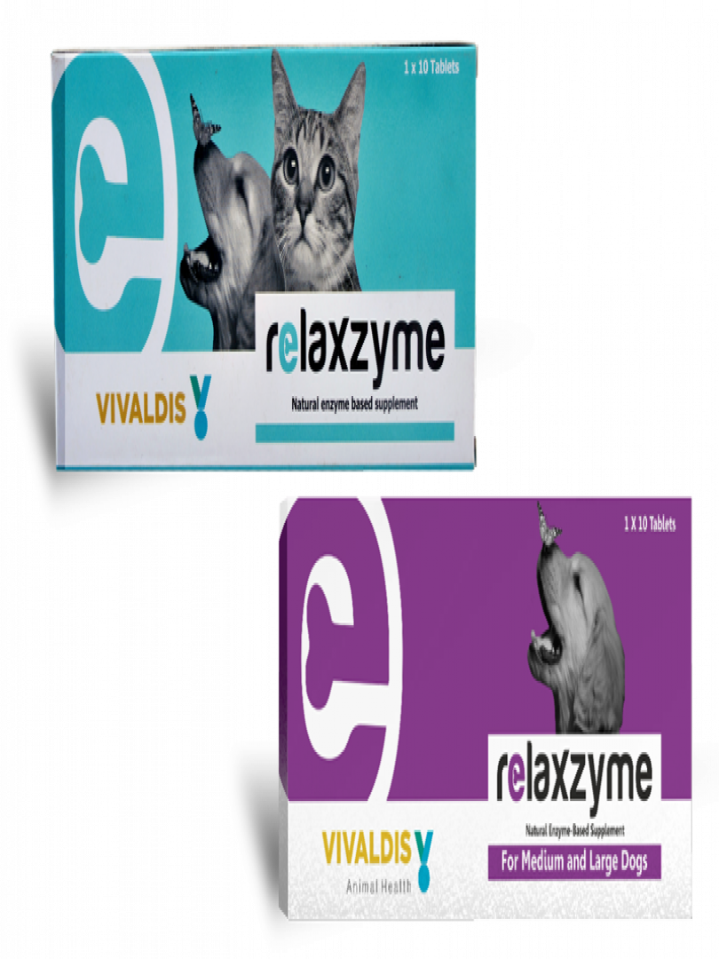 RELAXZYME MEDIUM AND LARGE DOG 10TABS. Catalogue Image 1