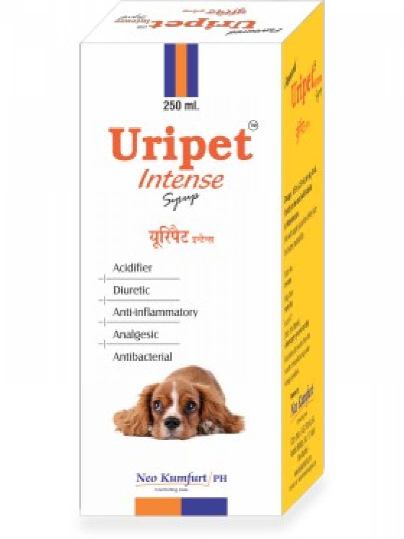 URIPET INTENSE 300ML Catalogue Image 1