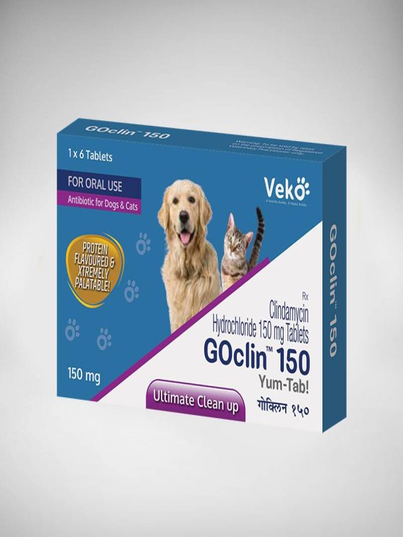 GOCLIN TABLETS 150MG Catalogue Image 1