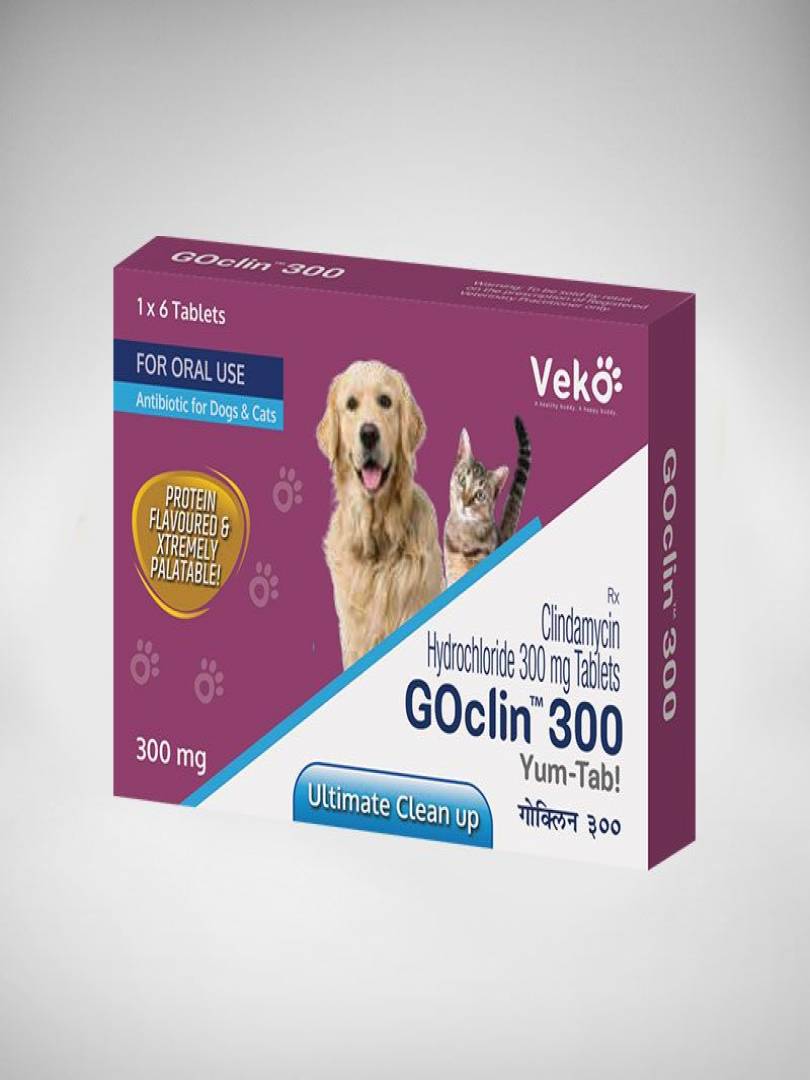 GOCLIN TABLETS 300MG Catalogue Image 1