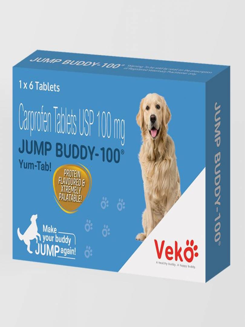 JUMP BUDDY 100MG Catalogue Image 1