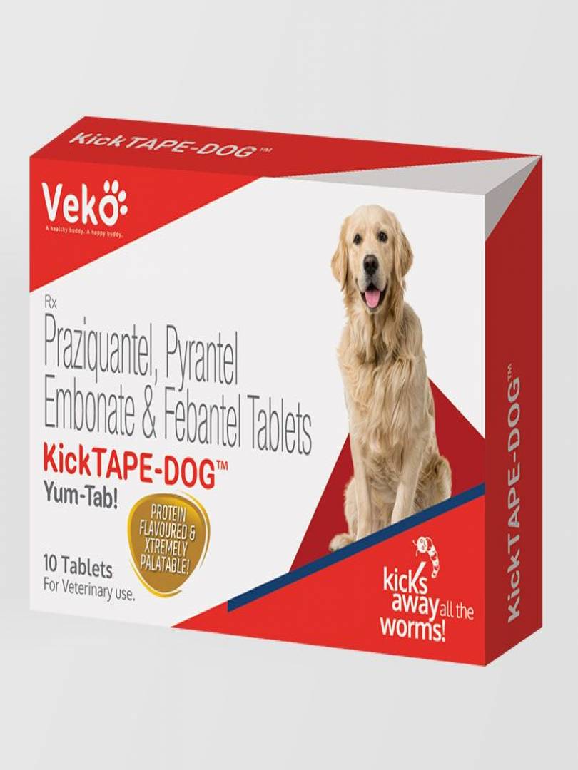 KICK-TAPE DOG 10TABS Catalogue Image 1