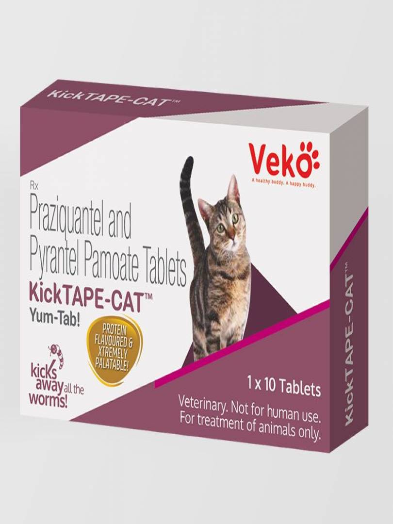 KICK-TAPE CAT 10TABS Catalogue Image 1