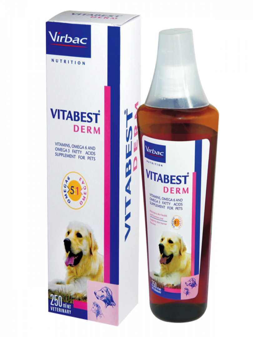 VITABEST® DERM Catalogue Image 1