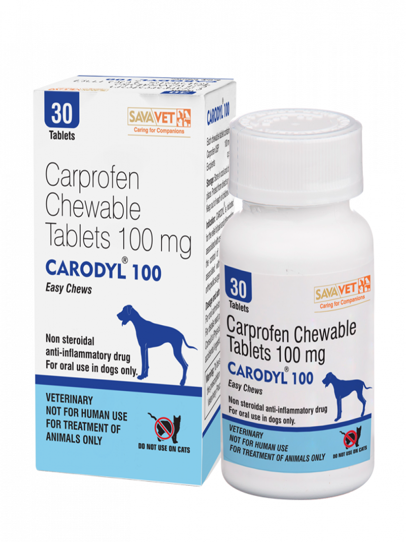 CARODYL 100MG ECO PACK 30TABS Catalogue Image 1