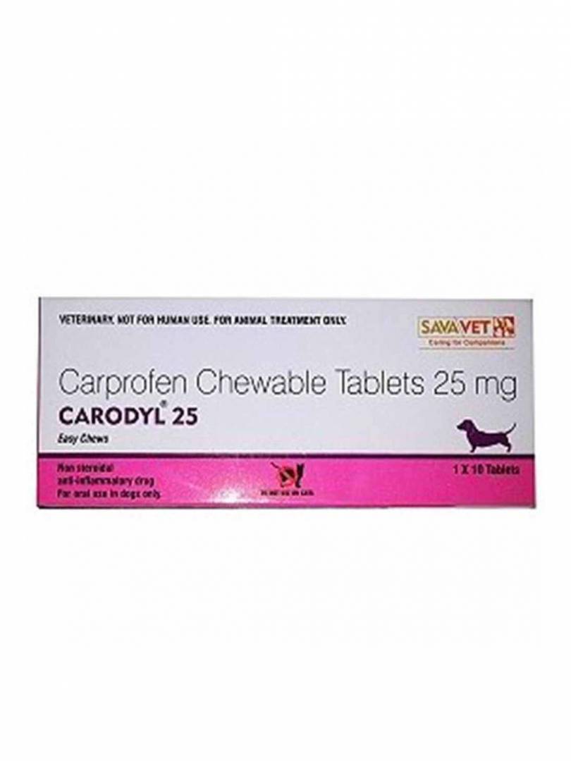 CARODYL 25MG 10TABS Catalogue Image 1