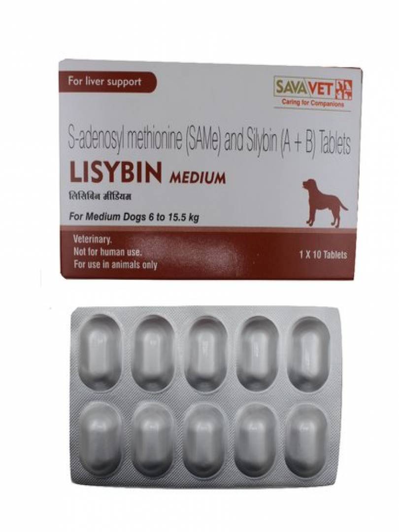 LISYBIN MEDIUM 10TABS Catalogue Image 1