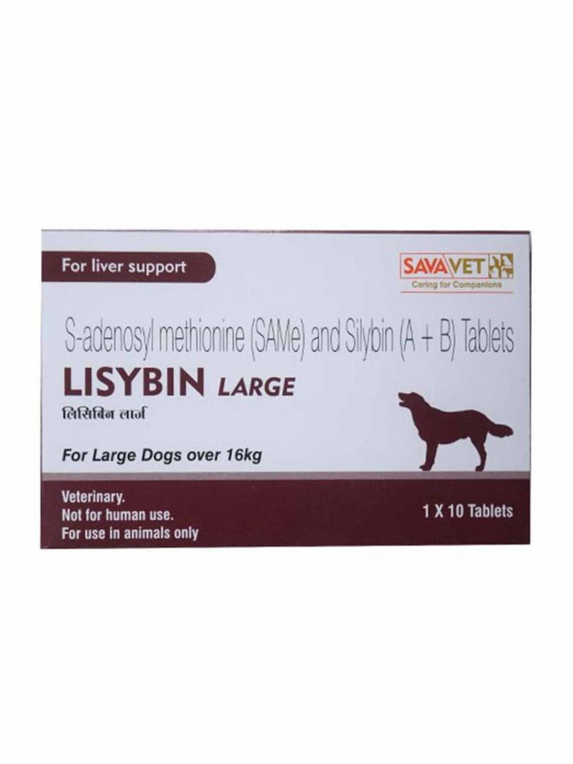 LISYBIN LARGE 10TABS Catalogue Image 1