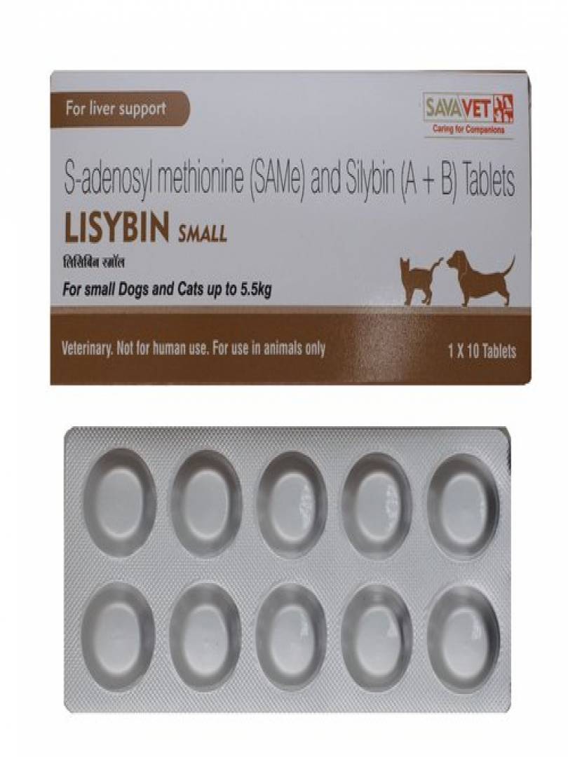 LISYBIN SMALL 10TABS Catalogue Image 1